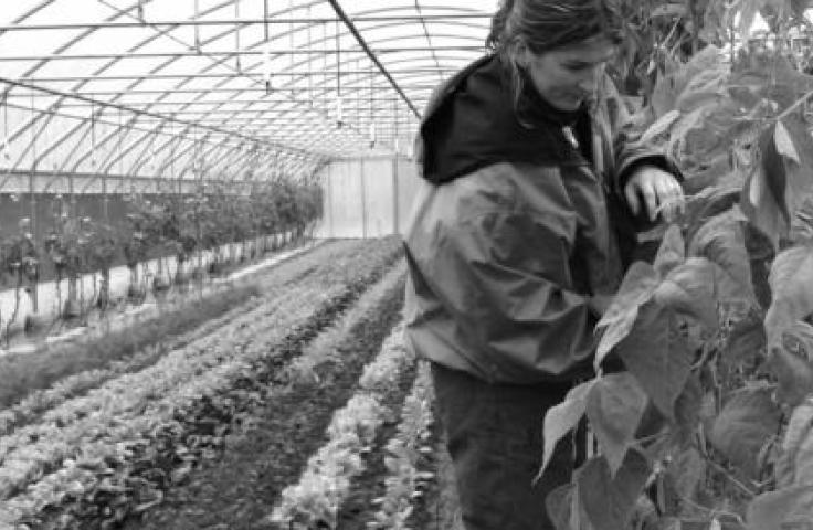 ESS, PTCE, agriculture et alimentation durables, coopération, territoire, bio PTCE Terre d'opale